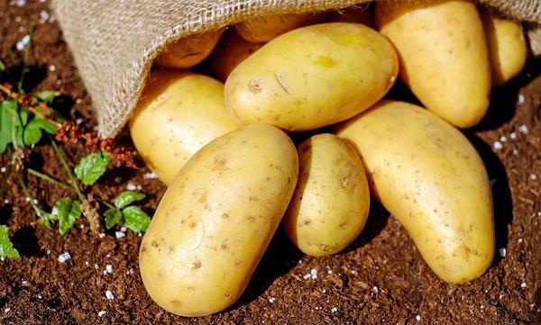patatas monalisa