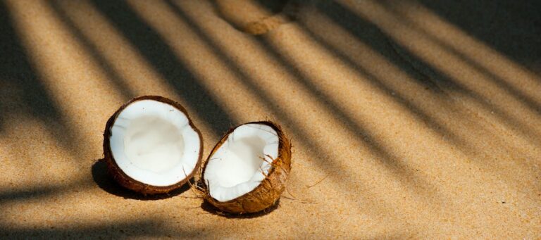 propiedades y beneficios del coco