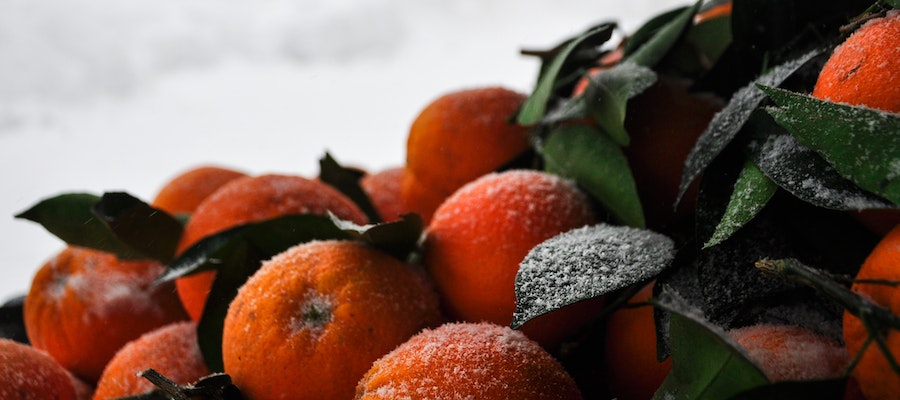 fruta de invierno