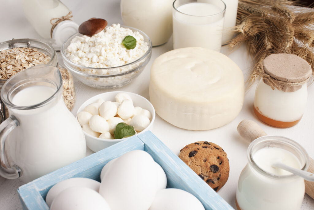 alimentos ricos en probioticos