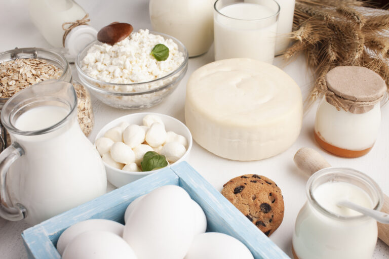alimentos ricos en probioticos